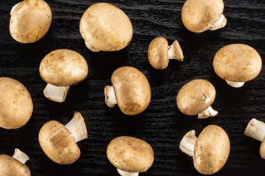 Siyah ahşap arka plan ham mantar üzerinde taze kahverengi petrol üstten görünüm