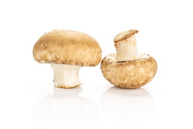 Beyaz arka plan üzerinde ham taze mantar izole kahverengi iki petrol