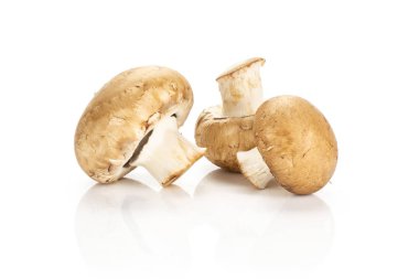 Üç taze çiğ kahverengi petrol üzerinde beyaz adam izole