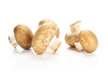 Beş taze kahverengi petrol beyaz arka plan üzerinde ham mantar izole