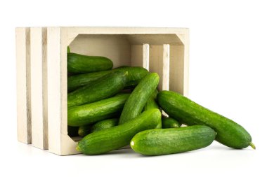Fresh green mini cucumbers out a wooden box isolated on white backgroun clipart