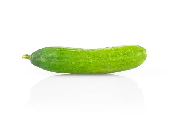 One Mini Cucumber Isolated White Background Fres — Stock Photo, Image