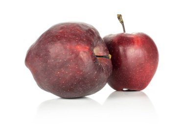 Beyaz adam izole iki elma kırmızı lezzetli