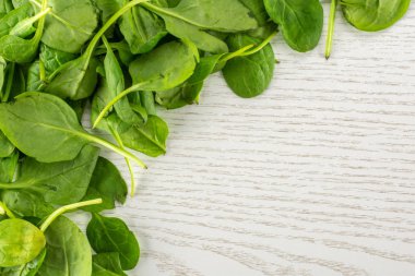 Gri ahşap arka plan sol üst corne en iyi görünümü taze bebek ıspanak yaprakları