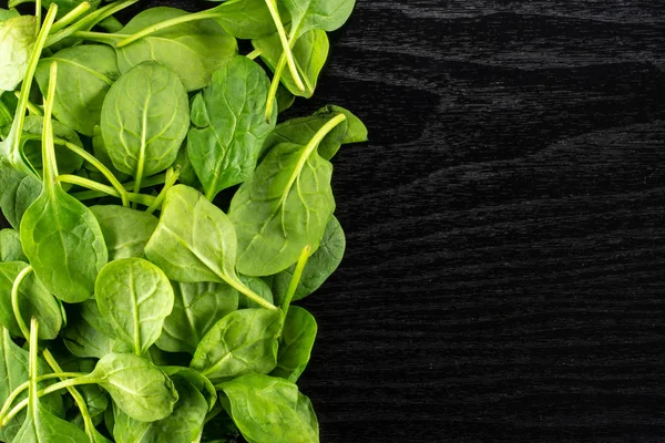Siyah ahşap arka plan sol corne en iyi görünümü taze bebek ıspanak yaprakları