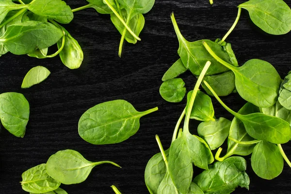 Siyah ahşap adam üzerinde üstten görünüm taze bebek ıspanak yaprakları