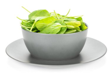 Beyaz adam izole bir gri Seramik kase taze bebek ıspanak yaprakları