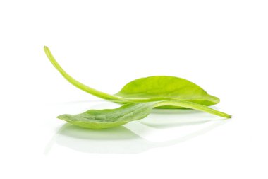 Taze bebek ıspanak üzerinde beyaz arka plan iki tek bırak izole