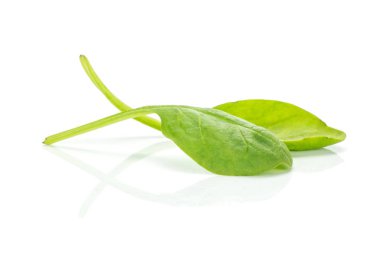 Beyaz arka plan iki yeşil izinli izole taze bebek ıspanak