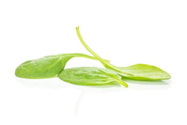 Taze bebek ıspanak üzerinde beyaz arka plan Grup üç yeşil ayrılış izole