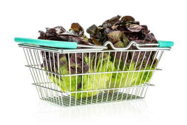 Grup iki bütün taze yeşil salata kırmızı küçük taş çeşitli whit üzerinde izole bir alışveriş sepeti