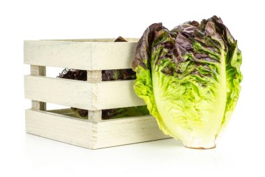 Whit üzerinde izole bir ahşap kutu içinde bir bütün taze yeşil salata kırmızı küçük taş değişiklik
