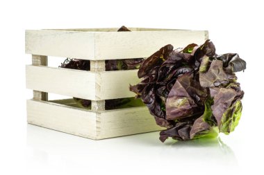 Whit üzerinde izole bir ahşap kutu içinde bir bütün taze yeşil salata kırmızı küçük taş değişiklik