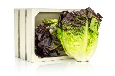 Whit üzerinde izole bir ahşap kutu dışında biri iki bütün taze yeşil salata kırmızı küçük taş çeşitli grup