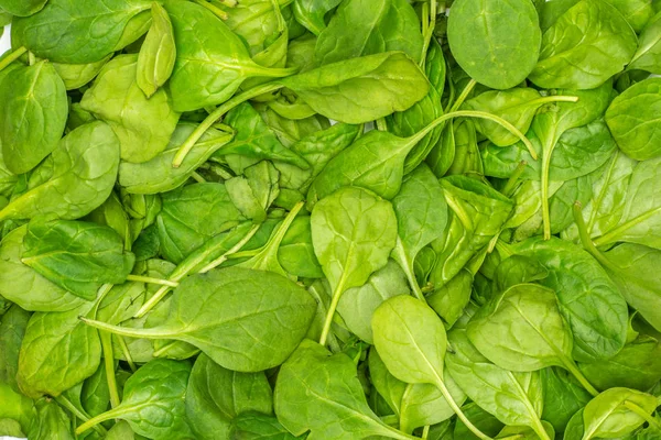 Fresh Baby Spinach Leaves Background Top Vie — Stock Photo, Image