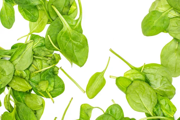 Fresh Baby Spinach Leaves Top View Isolated White Backgroun — Stock Photo, Image