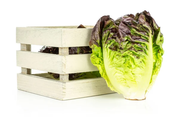 Whit üzerinde izole bir ahşap kutu içinde bir bütün taze yeşil salata kırmızı küçük taş değişiklik