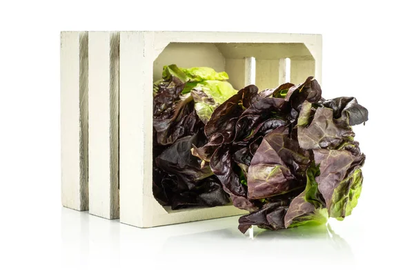 Grup iki bütün taze yeşil salata kırmızı küçük taş çeşitli dışarı-in whit üzerinde izole bir ahşap kutu