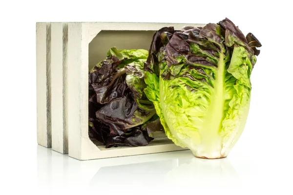 Whit üzerinde izole bir ahşap kutu dışında biri iki bütün taze yeşil salata kırmızı küçük taş çeşitli grup
