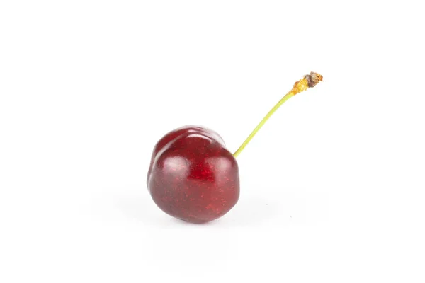 One Whole Sweet Bright Red Cherry Stem Side Look Isolated — Stock Photo, Image