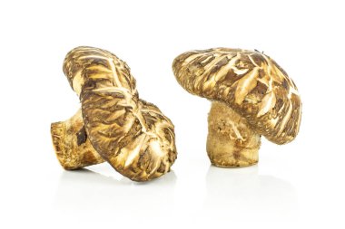 Grup üzerinde beyaz izole iki bütün taze çiğ kahverengi shiitake mantar