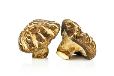 Grup üzerinde beyaz izole iki bütün taze çiğ kahverengi shiitake mantar