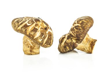 Grup üzerinde beyaz izole iki bütün taze çiğ kahverengi shiitake mantar