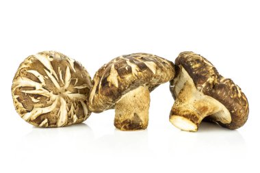 Grup üç bütün taze çiğ kahverengi shiitake mantar whit üzerinde izole