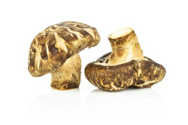 Grup üzerinde beyaz izole iki bütün taze çiğ kahverengi shiitake mantar