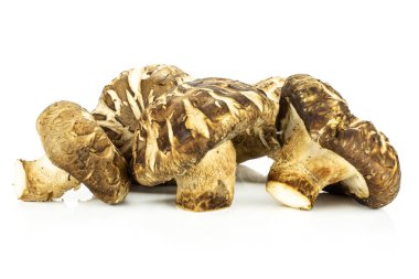 İzole üzerinde beyaz taze çiğ kahverengi shiitake mantar