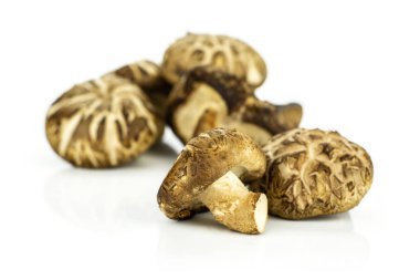 İzole üzerinde beyaz taze çiğ kahverengi shiitake mantar