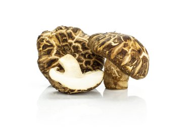 Grup iki yarım bütün whit üzerinde izole taze çiğ kahverengi shiitake mantar