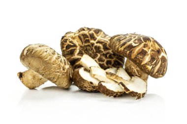 Grup üç tüm üç dilim taze çiğ kahverengi shiitake mantar whit üzerinde izole