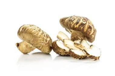 Whit üzerinde izole taze çiğ kahverengi shiitake mantar iki bütün üç dilim Grup
