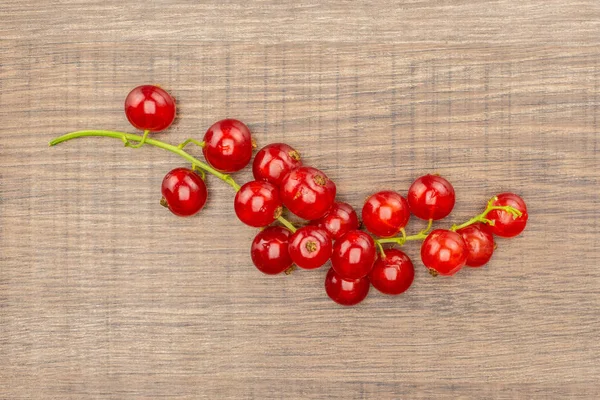 Jeden Celý Červený Rybíz Berry Řetězec Flatlay Izolované Brown Woo — Stock fotografie