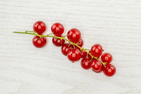 One Whole Red Currant Berry String Flatlay Isolated Grey Woo — Stock Photo, Image