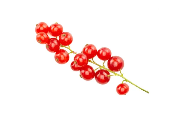 Jedną Całość Czerwone Porzeczki Berry Ciąg Flatlay Białym Tle Zielone — Zdjęcie stockowe