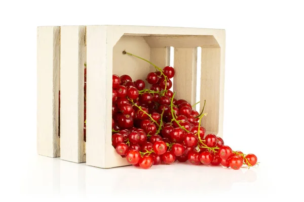 Groselha Vermelha Fora Uma Caixa Madeira Isolada Whit — Fotografia de Stock