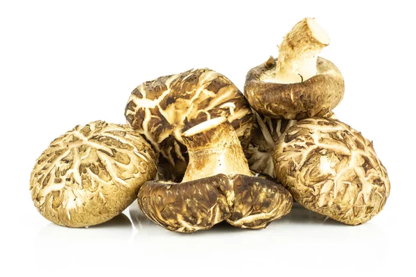 İzole üzerinde beyaz taze çiğ kahverengi shiitake mantar