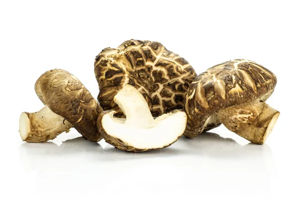 Üç bütün yarım whit üzerinde izole taze çiğ kahverengi shiitake mantar Grup