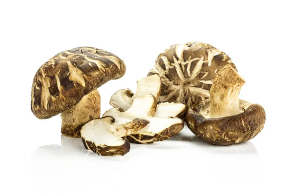 Grup üç tüm üç dilim taze çiğ kahverengi shiitake mantar whit üzerinde izole