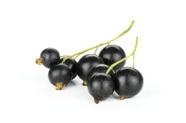 Bütün taze siyah frenk üzümü berry ben gairn çeşitli iki strigs beyaz izole sürü