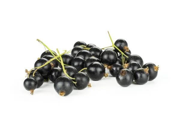 Mnoho Čerstvých Černého Rybízu Berry Odrůda Ben Gairn Haldy Izolované — Stock fotografie
