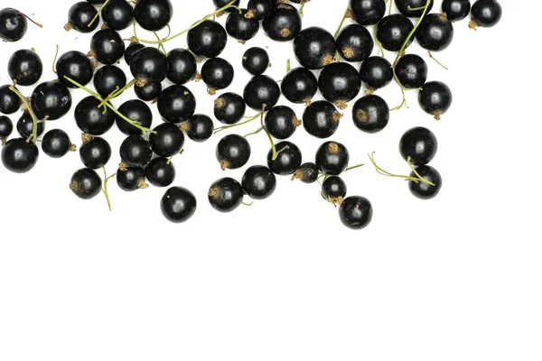 Lot Whole Fresh Black Currant Berry Ben Gairn Variety Flatlay — Stock Photo, Image