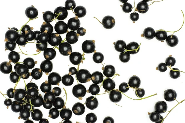 Lot Whole Fresh Black Currant Berry Ben Gairn Variety Flatlay — Stock Photo, Image