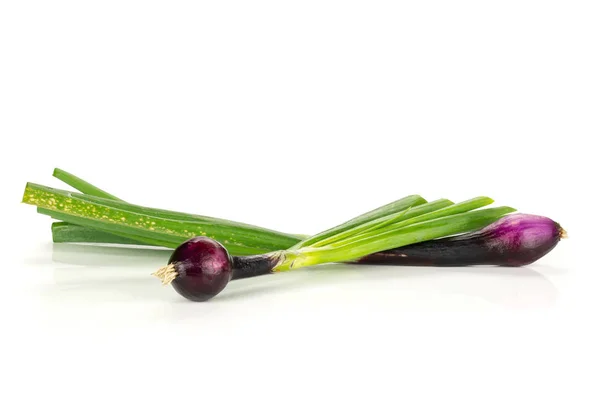 Grupo Dos Cebolla Verde Fresca Entera Cebolla Cebolla Roja Variedad — Foto de Stock