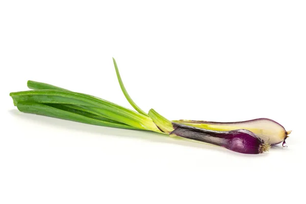 Cebolla de primavera verde cruda fresca aislada en blanco — Foto de Stock