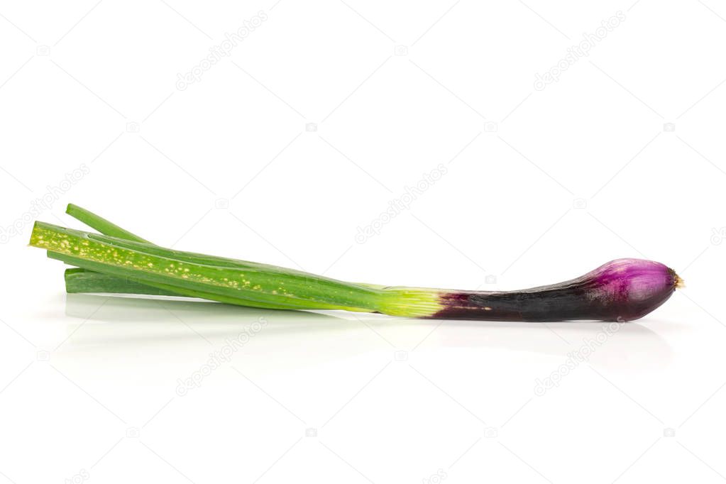 One whole fresh green spring onion red scallion variety isolated on white
