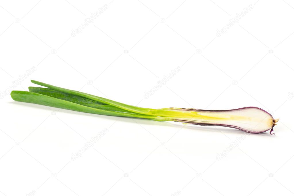 Fresh Raw green spring onion isolated on white