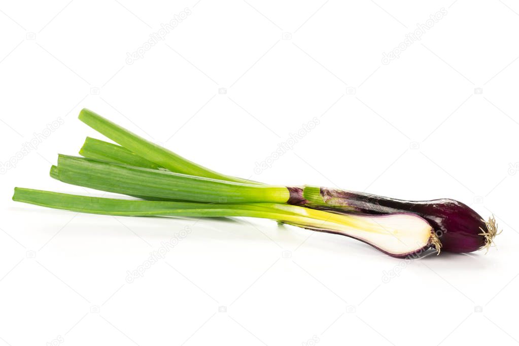 Fresh Raw green spring onion isolated on white